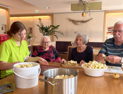 Apfelmus kochen