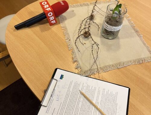 Pflegeschüler:innen arbeiten in der Praxiswohung bei uns im Haus